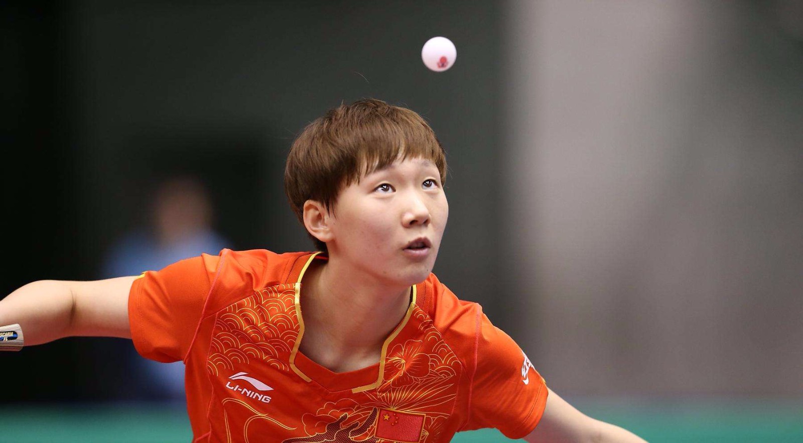 球迷和业内 球迷和业内