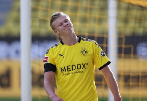 马来西亚羽 马来西亚羽